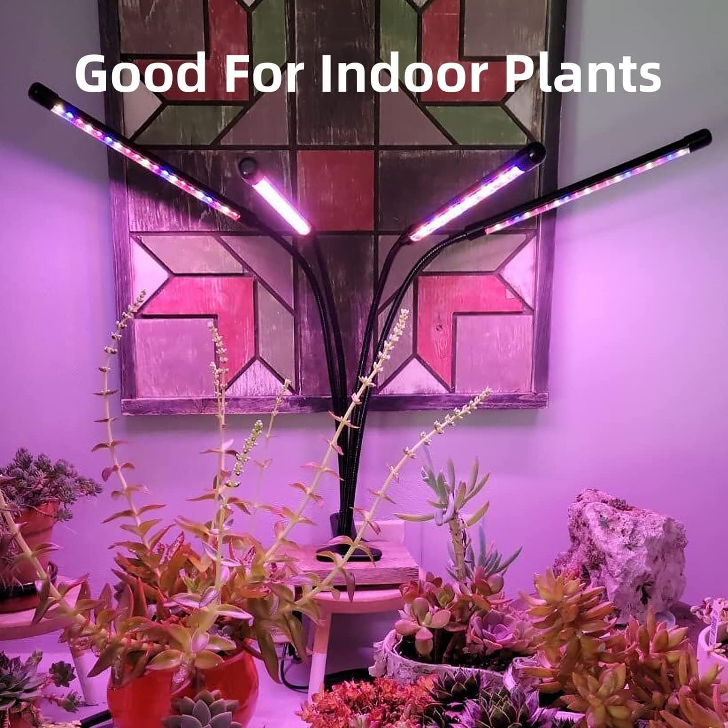 QNNP Grow Light for Indoor Plants - Upgraded Version 80 LED Lamps with Full Spectrum & Red Blue Spectrum, 3/9/12H Timer, 10 Dimmable Level, Adjustable Gooseneck,3 Switch Modes