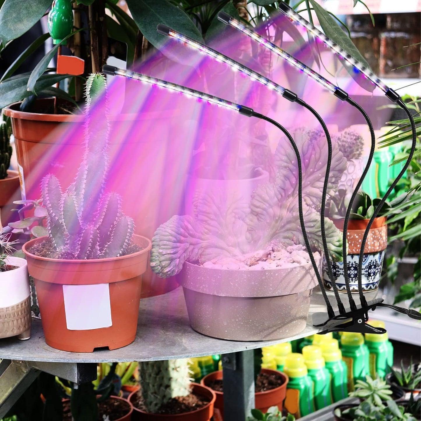 QNNP Grow Light for Indoor Plants - Upgraded Version 80 LED Lamps with Full Spectrum & Red Blue Spectrum, 3/9/12H Timer, 10 Dimmable Level, Adjustable Gooseneck,3 Switch Modes